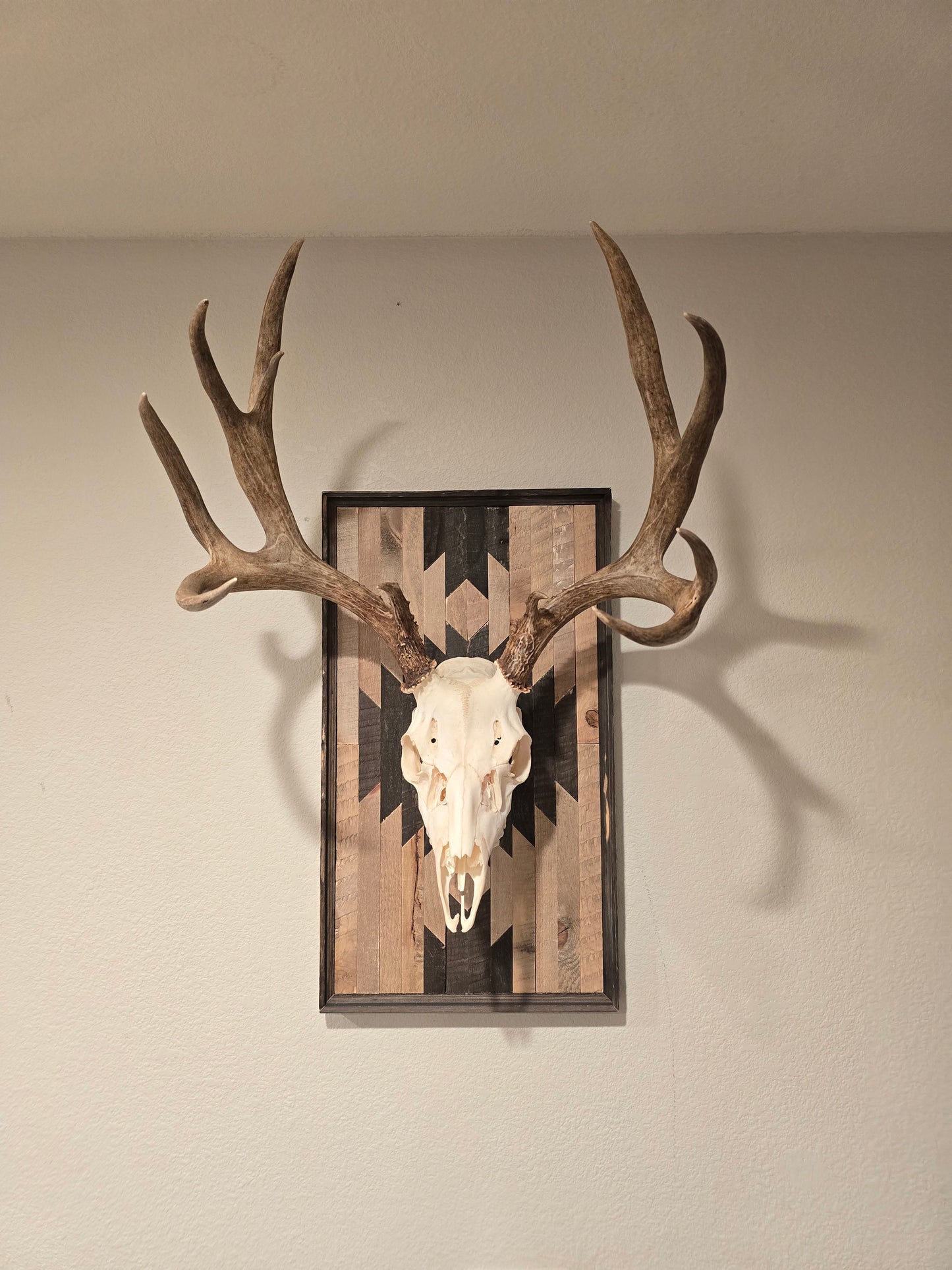 Aztec Nomad Medium Game Mount