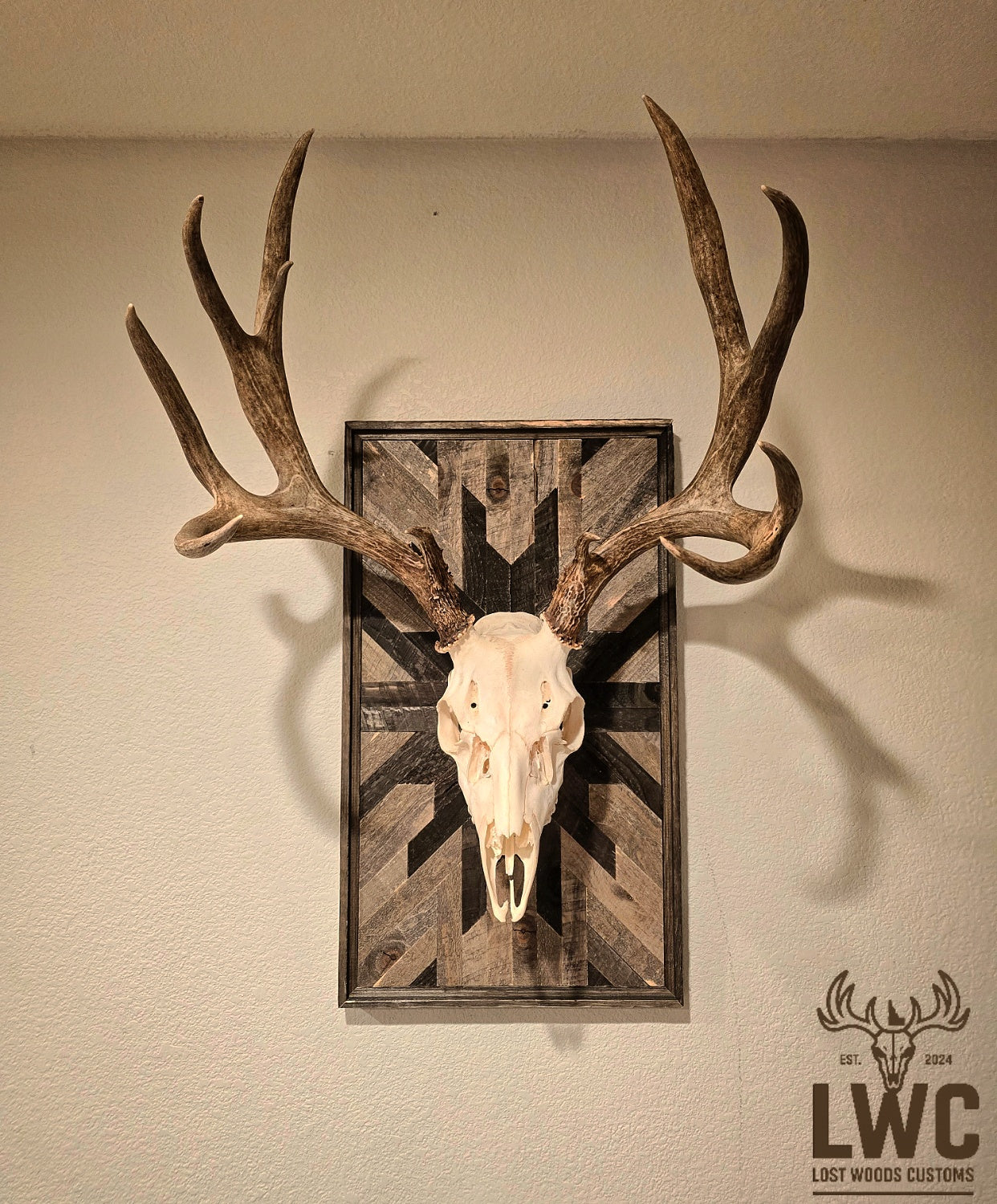 Deer skull and antlers mounted on a wooden plaque against a beige wall, with 'LWC' logo in the corner.