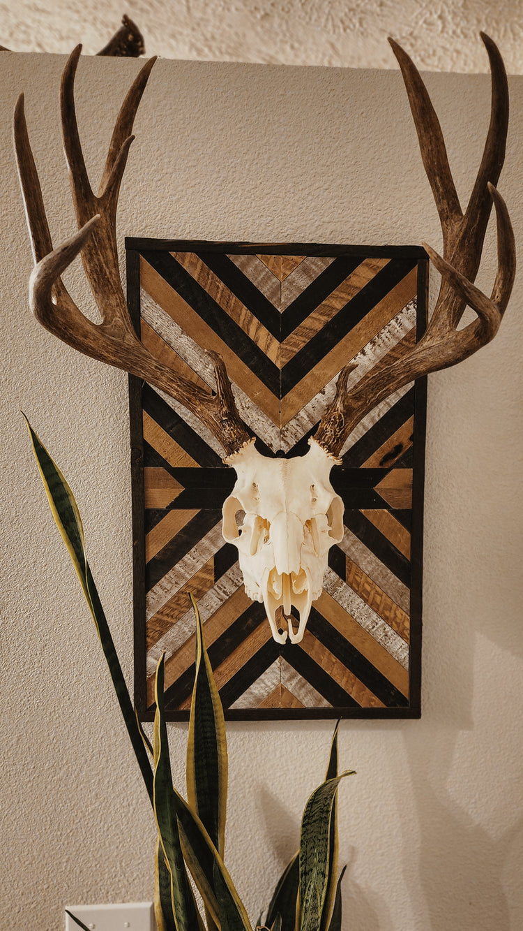 Medium Euro Mounts