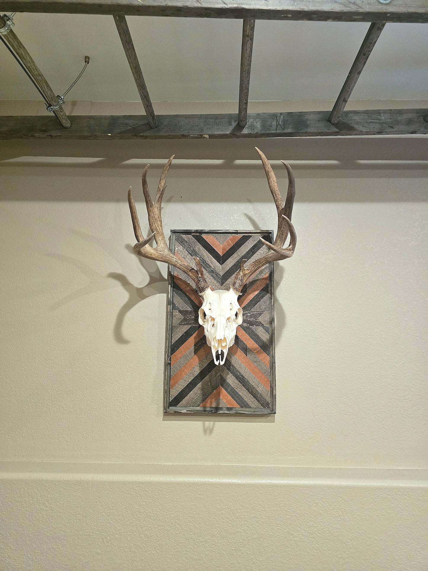 Geometric Euro Medium Game Mount