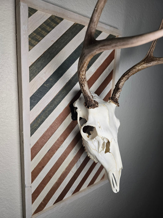Deer skull with antlers on a striped wooden board