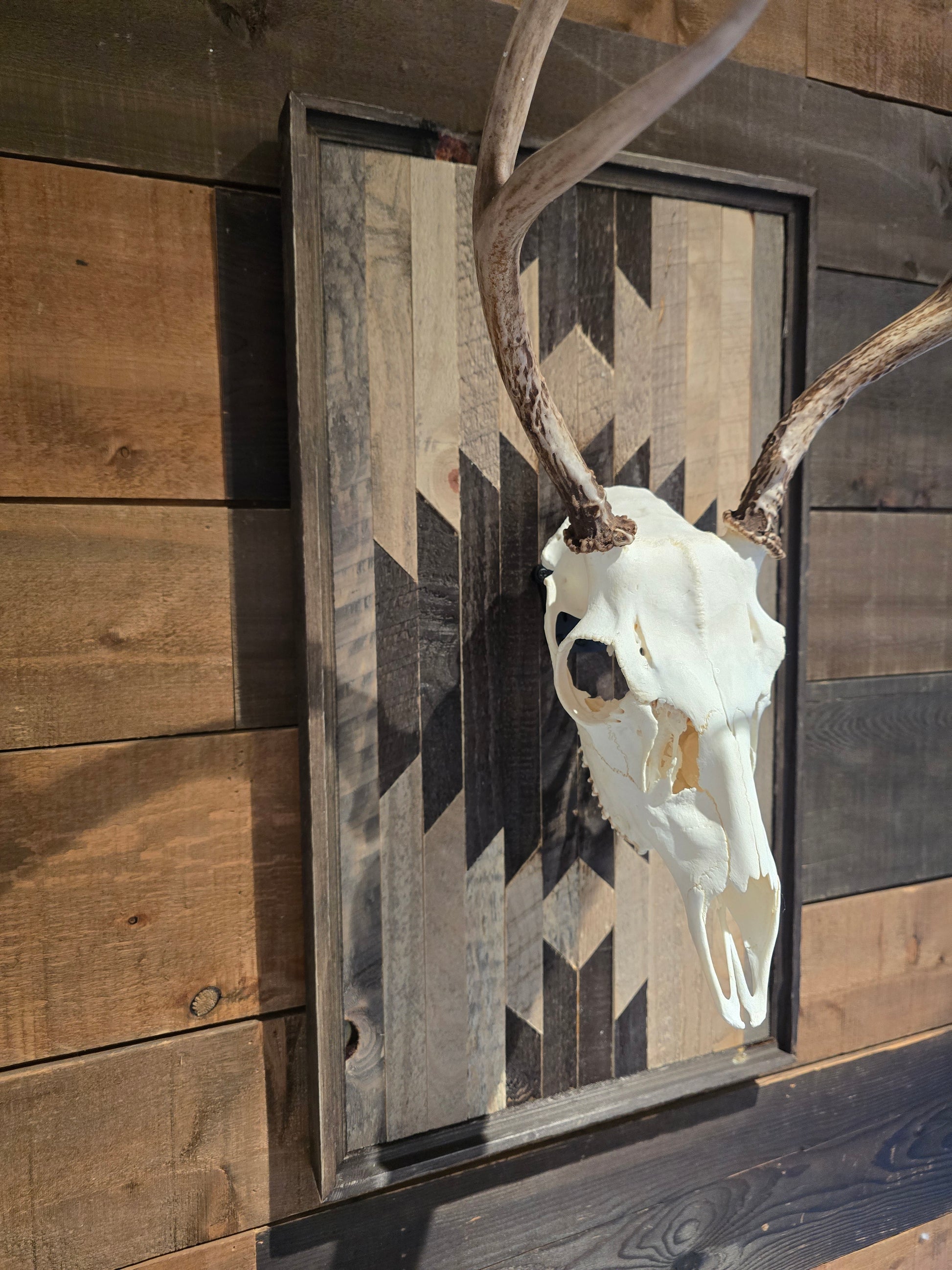 Deer skull and antlers on a wooden plaque with geometric pattern, placed on a wooden surface.