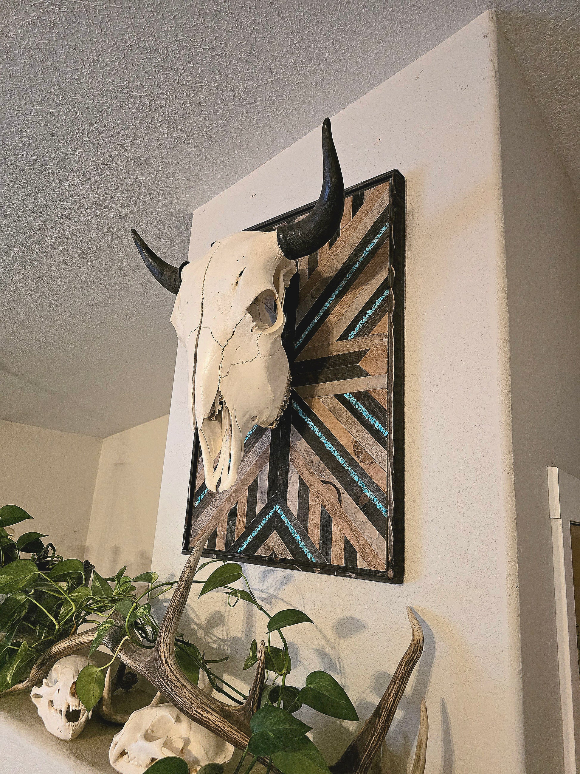 Skull and antlers mounted on a wall with decorative plaque