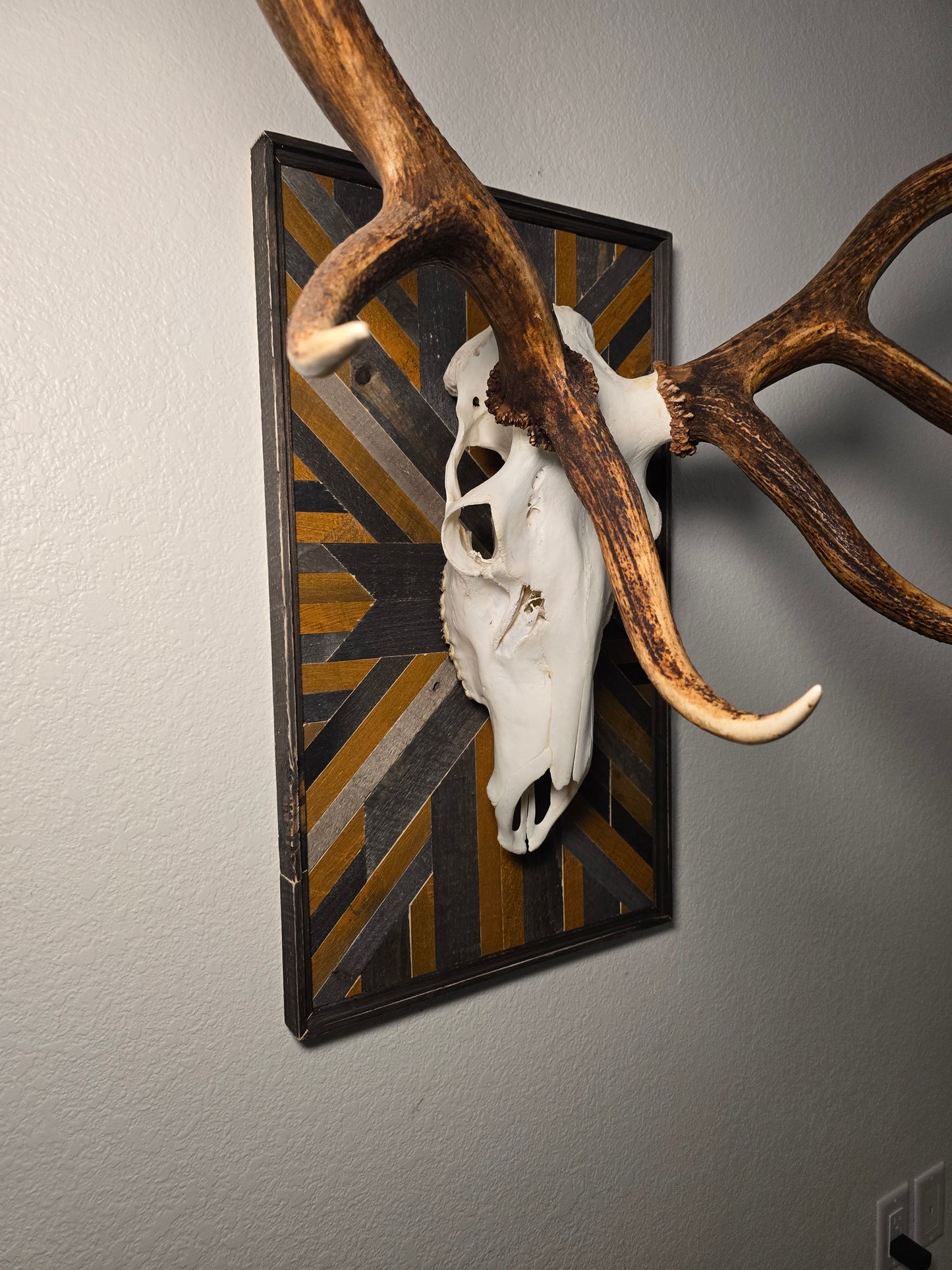 elk skull and antlers on a decorative tray with geometric pattern