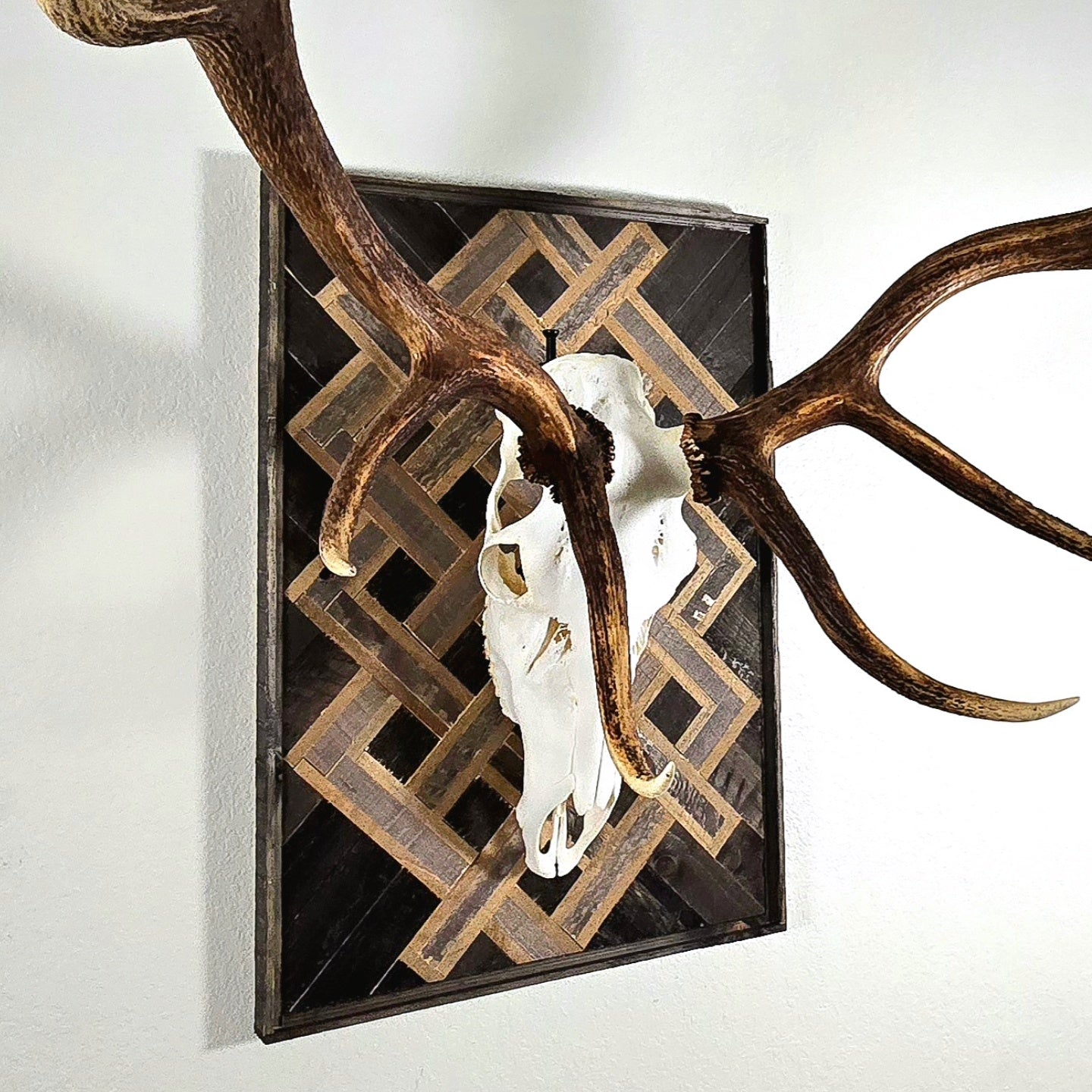 A rustic barnwood plaque featuring a Celtic knot mosaic design with a euro mount of an elk or large game. The plaque is mounted on a wall.