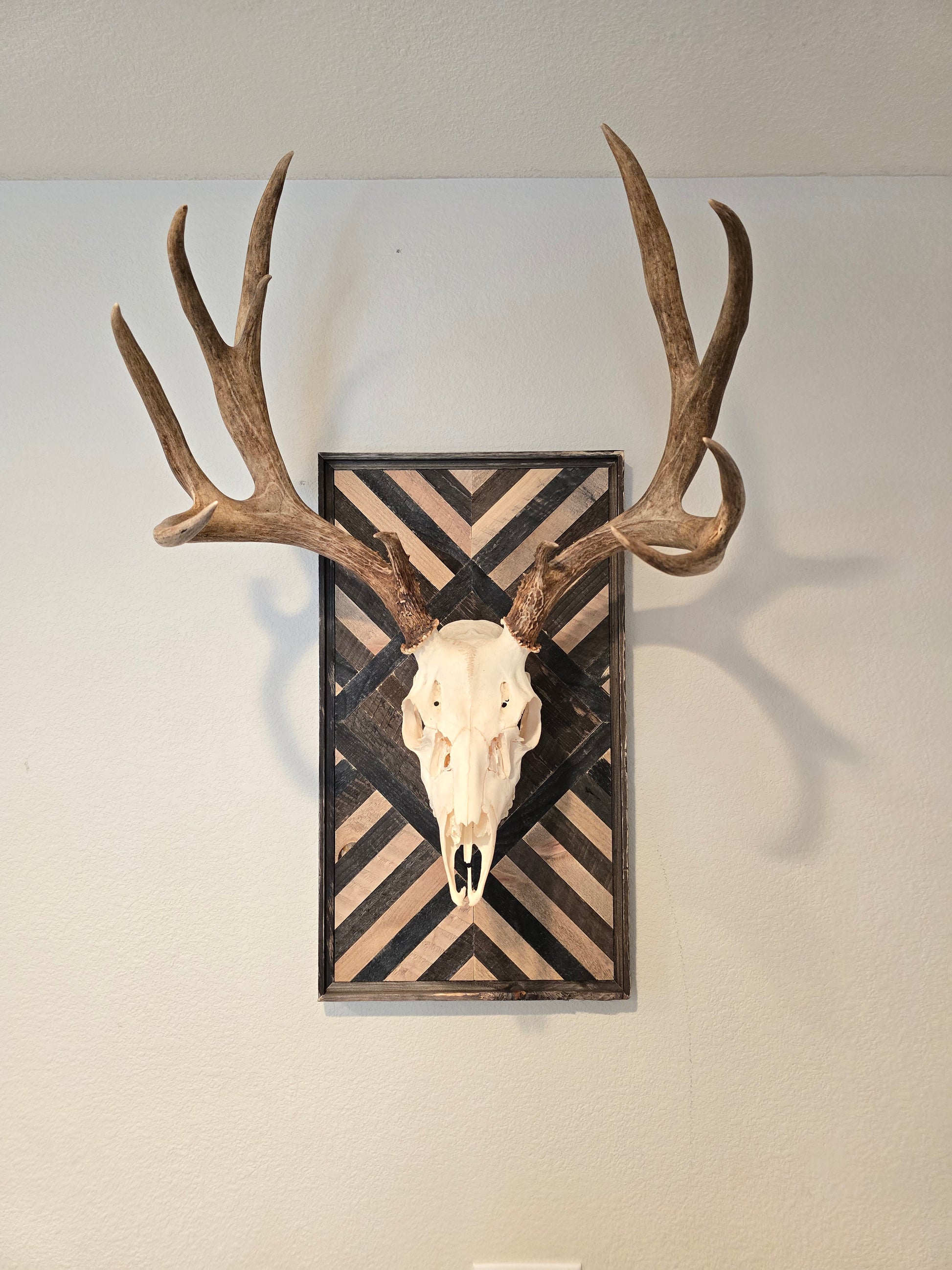 Decorative wall art with deer antlers and skull on a geometric-patterned background