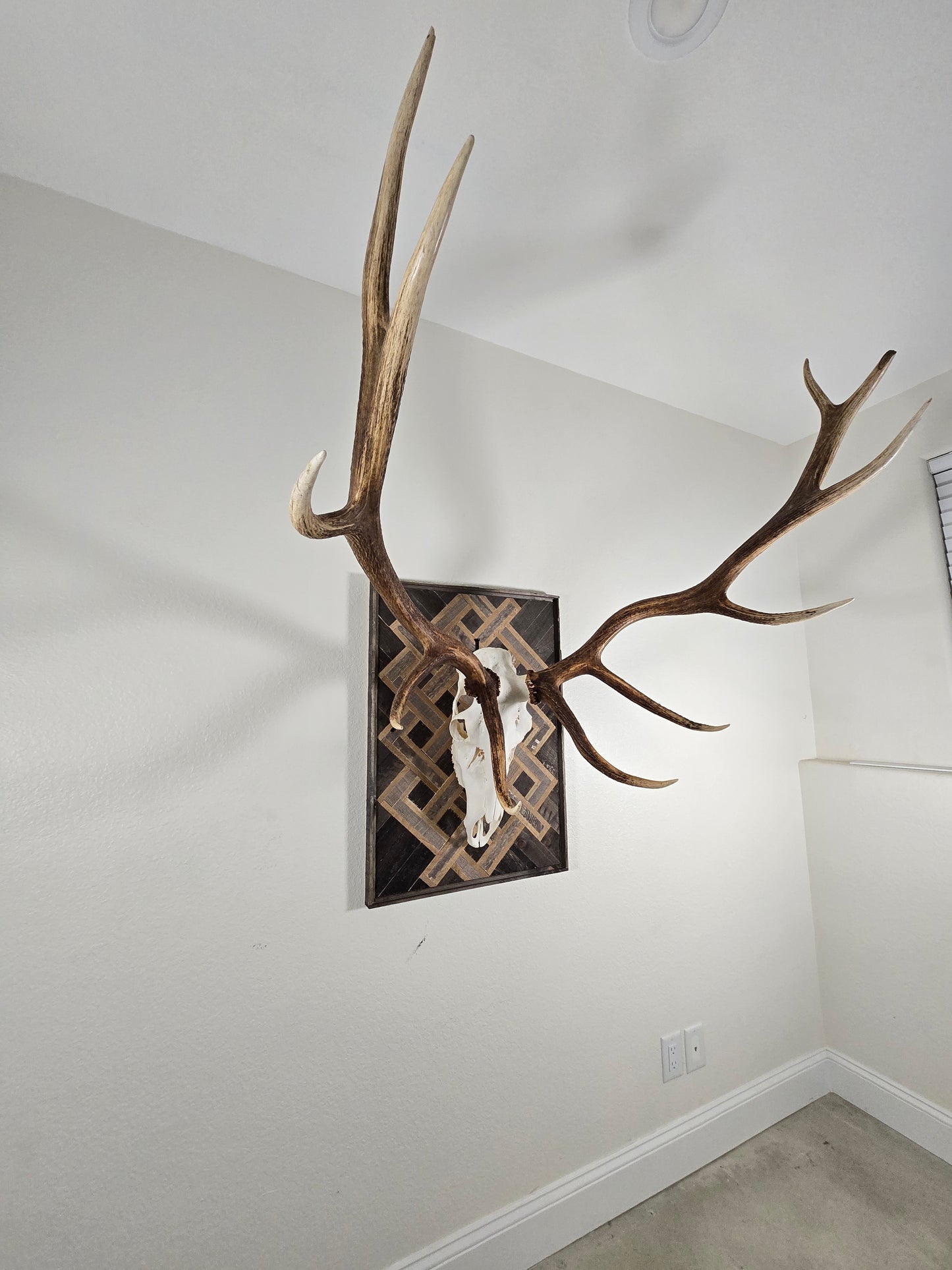 Celtic Knot Euro Mount Plaque