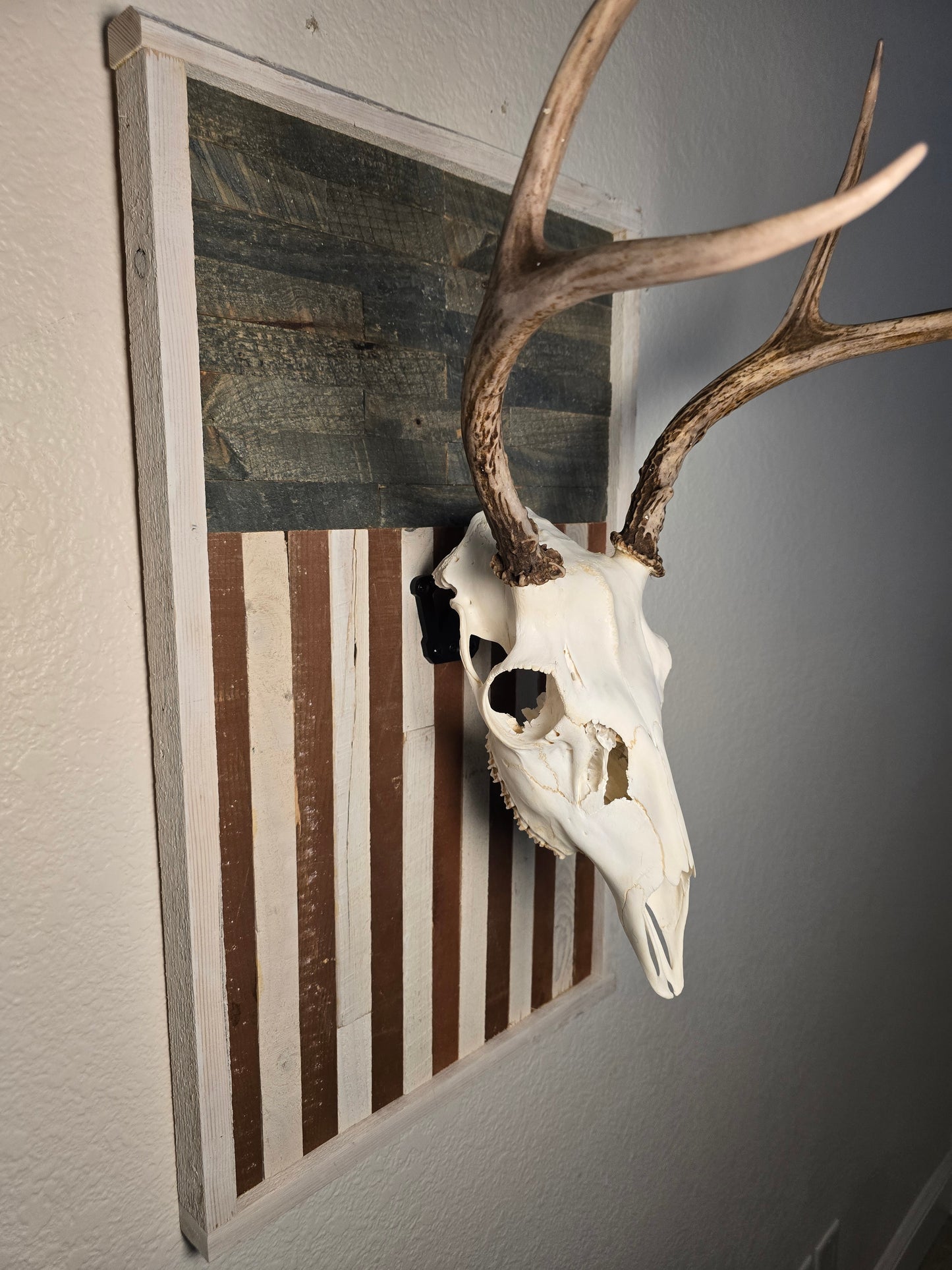 Deer skull with antlers on a striped wooden american flag board against a gray background