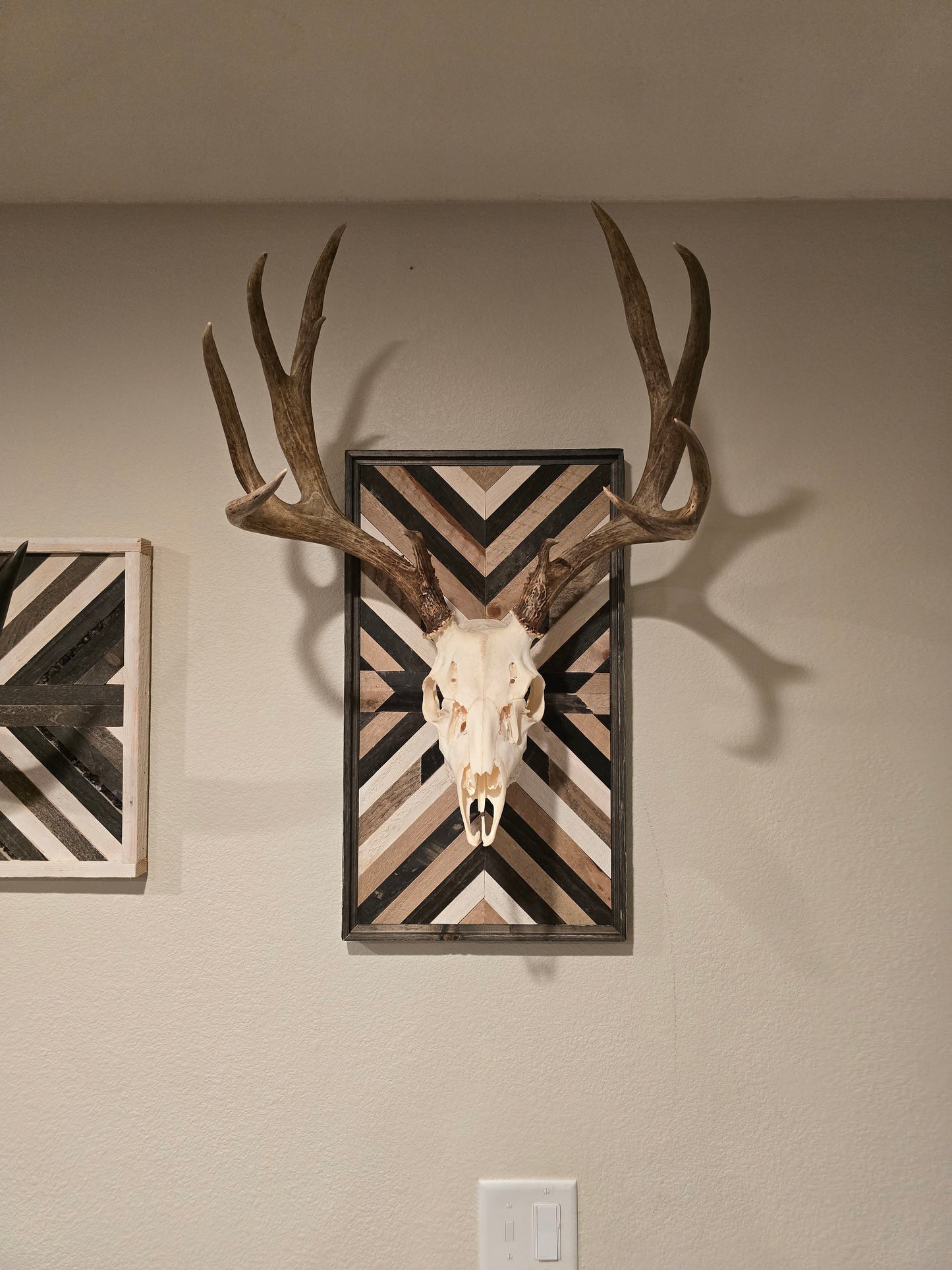 Decorative wall art with deer skull and antlers on a beige wall.