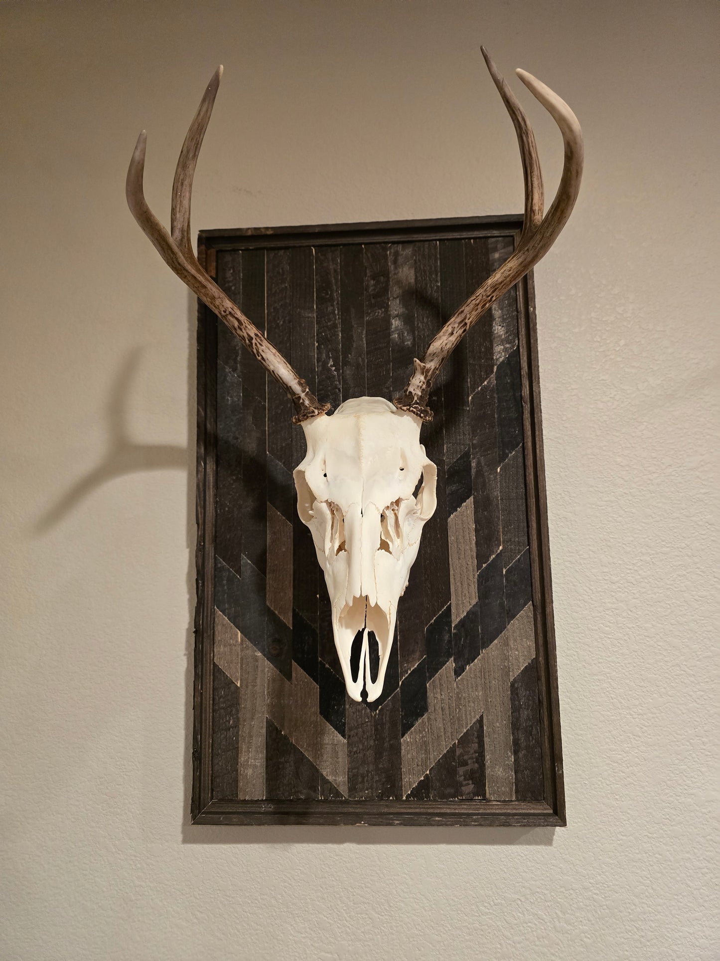 Skull and antlers on a decorative wooden panel against a beige wall