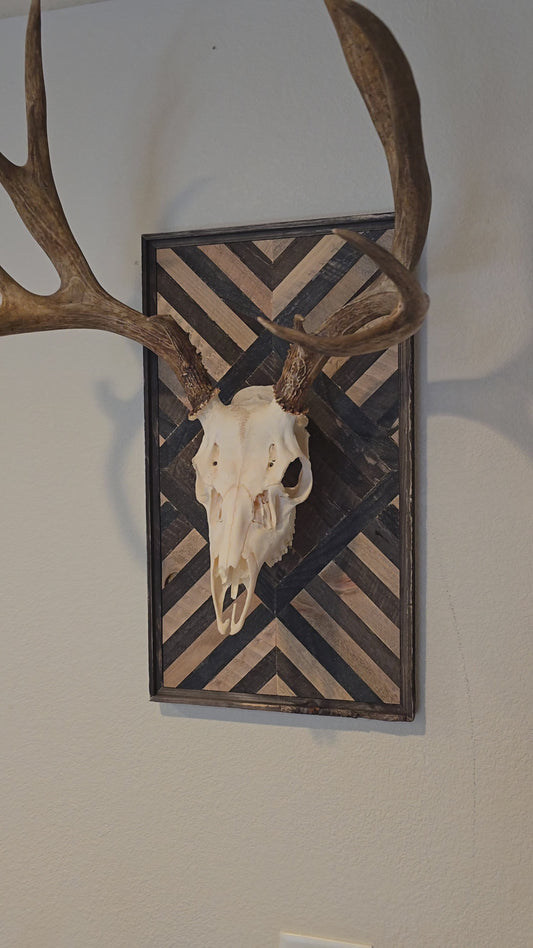 Diamondback Medium Game Mount