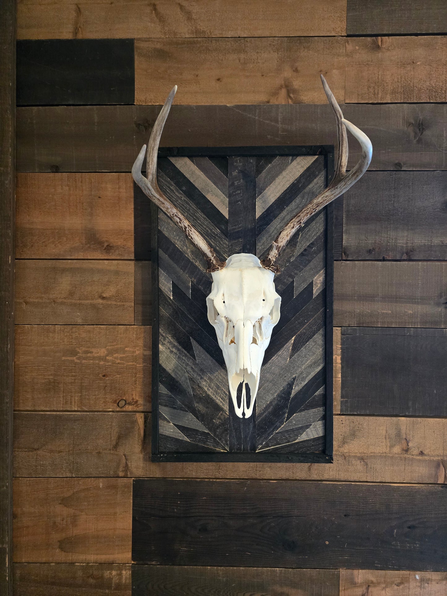 Nightfall Euro Plaque