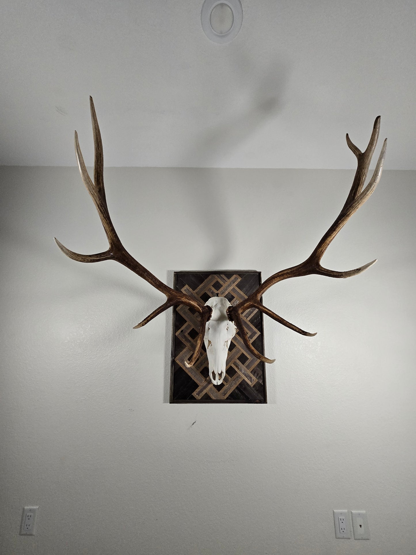 Celtic Knot Euro Mount Plaque