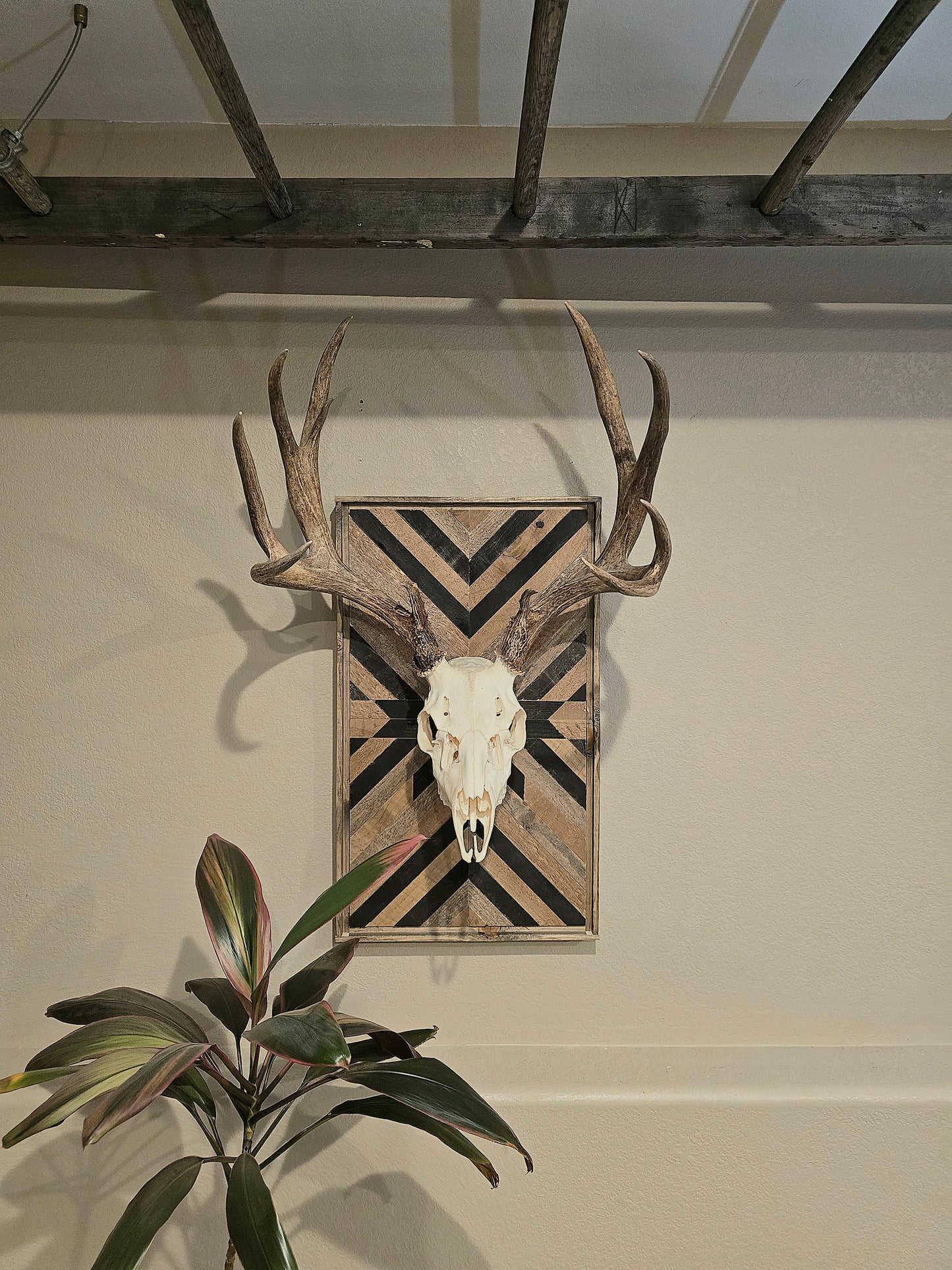A rustic euro mount plaque displayed on a wall, designed for mounting deer and mid-sized game, with a geometric pattern in black and white.
