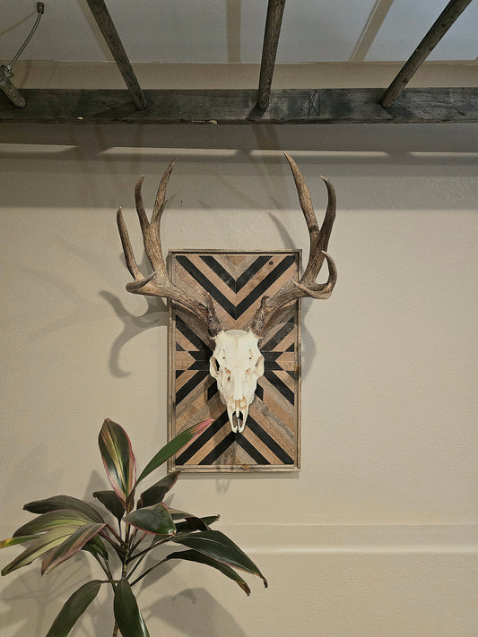 A rustic euro mount plaque displayed on a wall, designed for mounting deer and mid-sized game, with a geometric pattern in black and white.