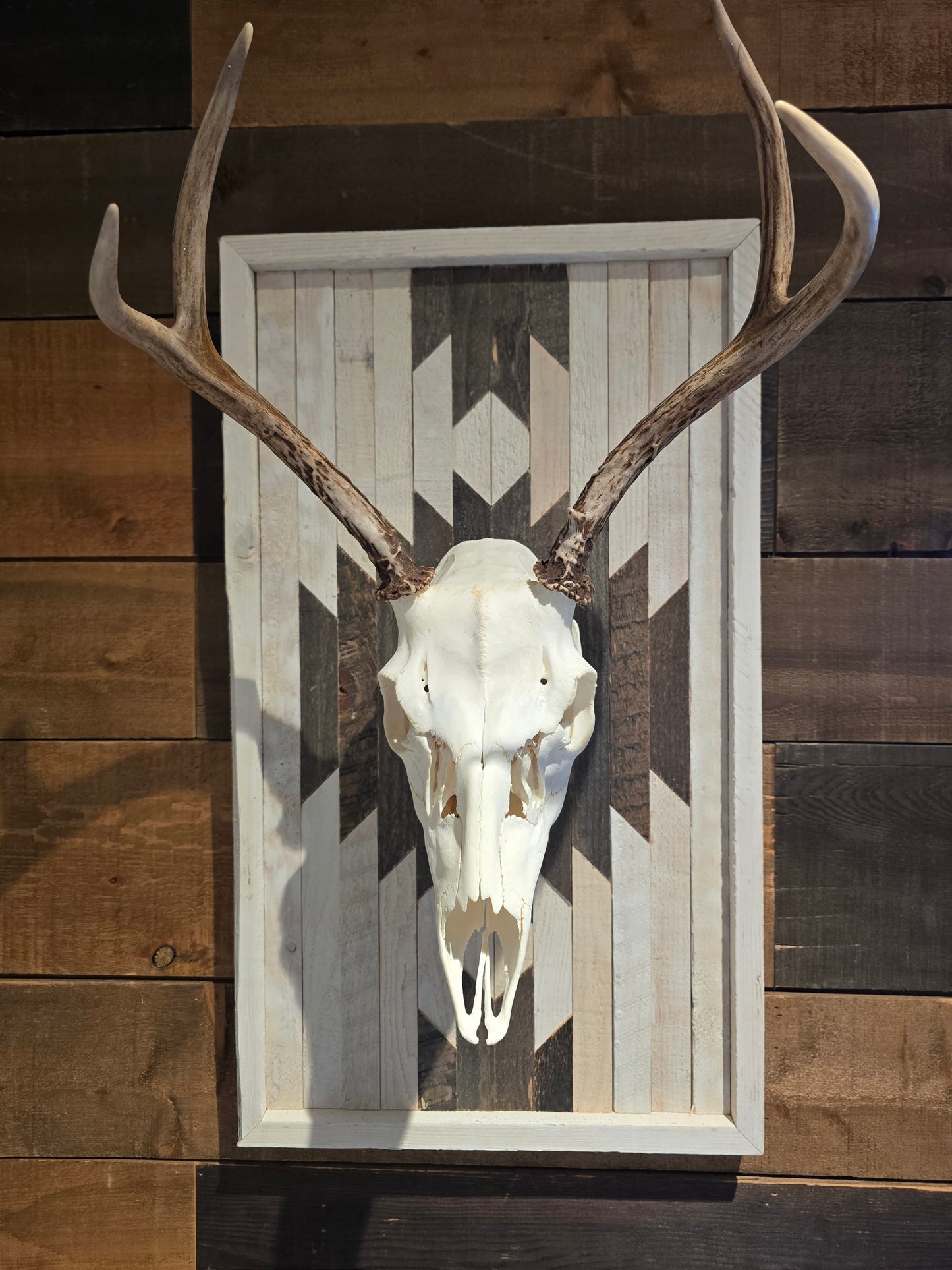 Deer skull and antlers mounted on a wooden panel with geometric pattern against a wooden wall.