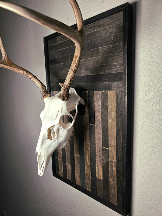 Deer skull and antlers on a wooden plaque against a wall