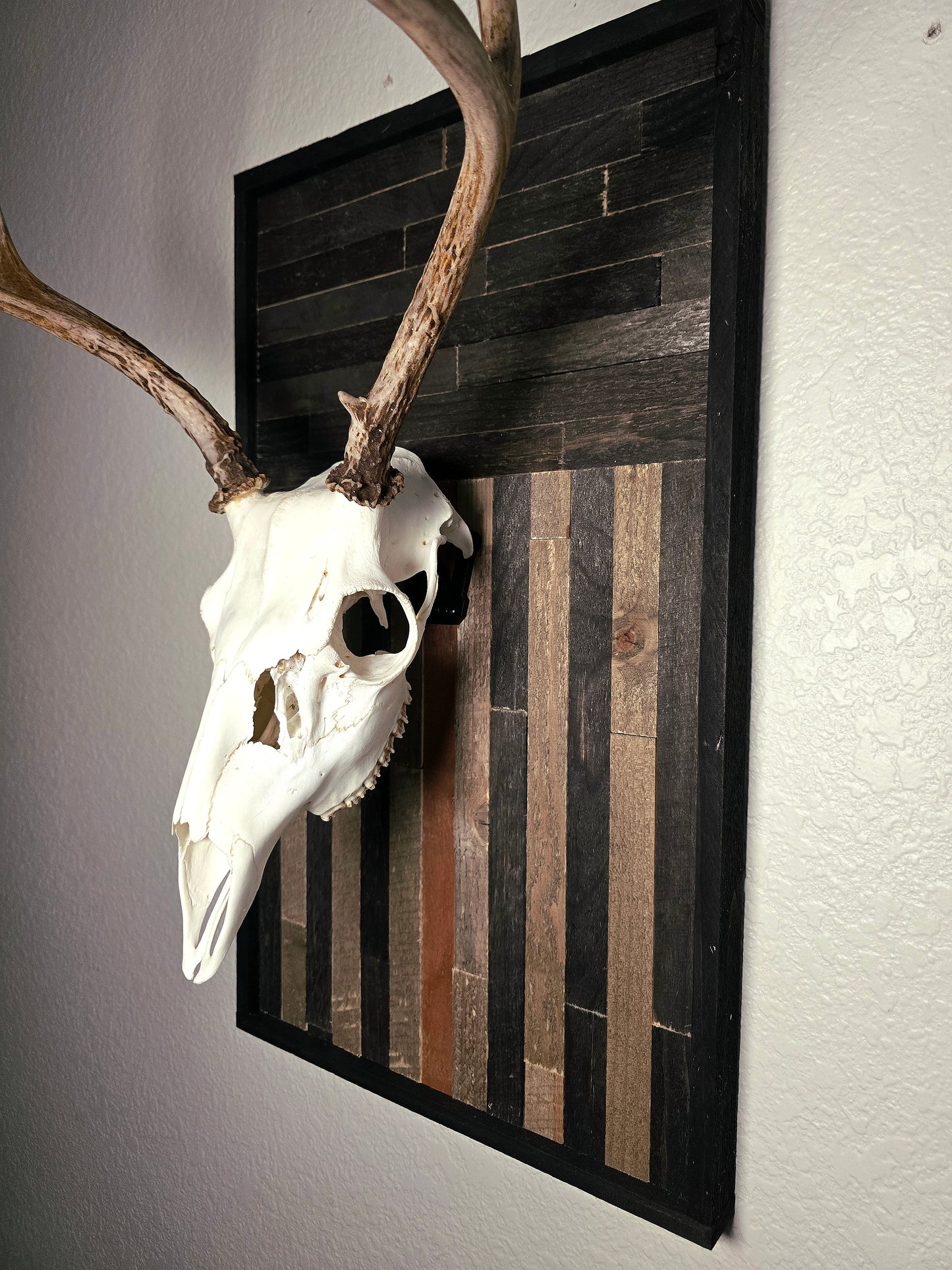 Deer skull and antlers on a wooden plaque against a white wall