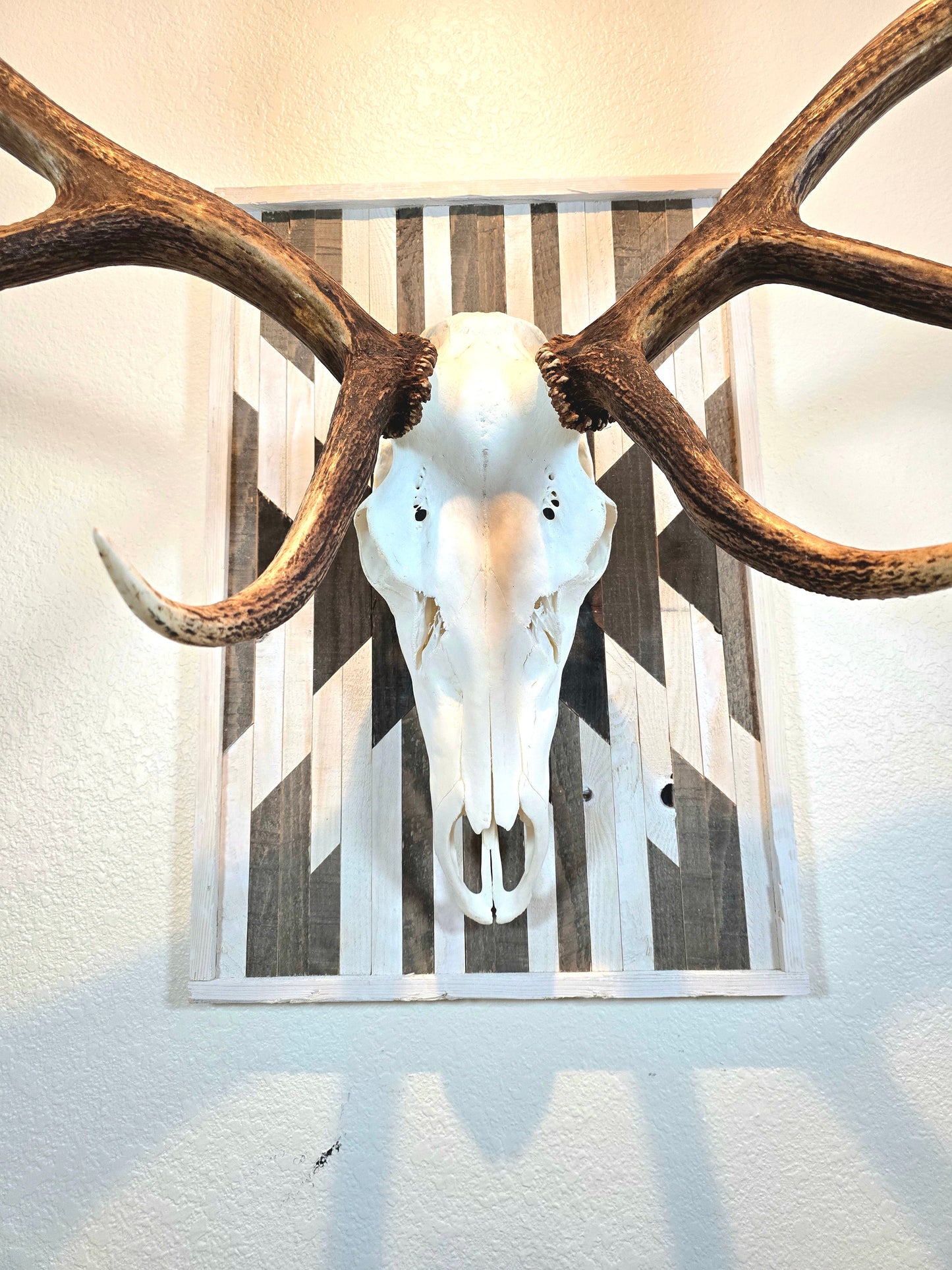 Aztec Large Euro Mount Plaque
